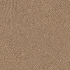 38006/49/55 : 38006S2