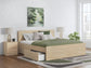 Onita Queen Panel Platform Bed with 1 Side Storage